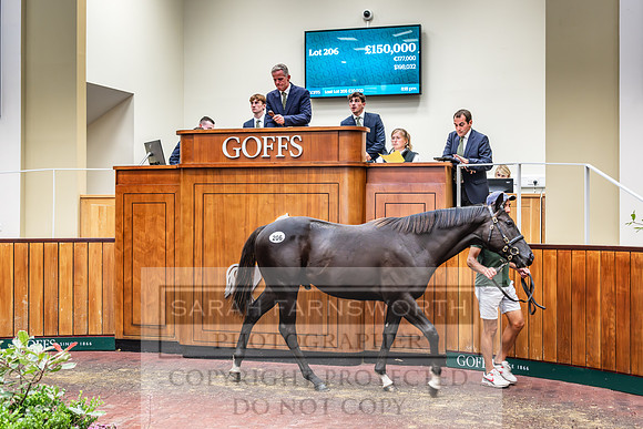 Goffs UK PY24-229
