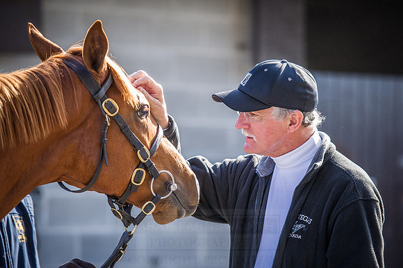 Goffs Orby 2015 -403