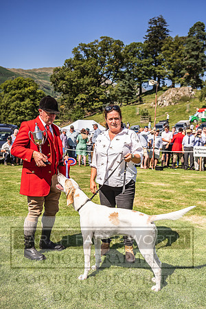 Rydal Hound Show 2022-128