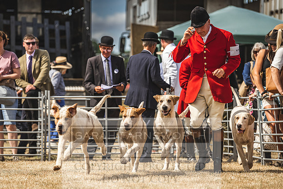 Honiton Hound Show 2022-102