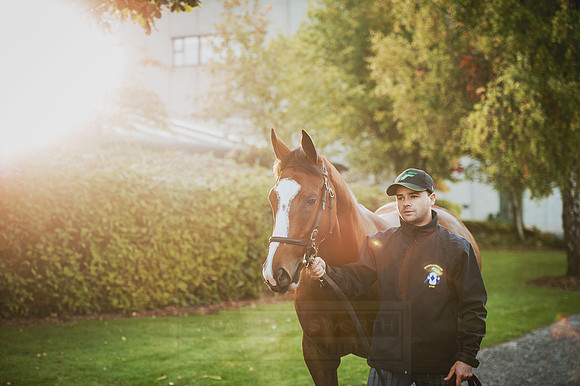 Goffs Orby 2015 -115