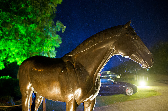 Goffs Orby14 CF7 1006