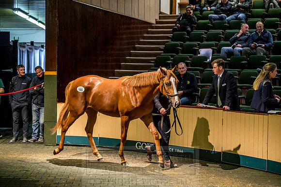 Goffs Orby 2018 Day 1-400