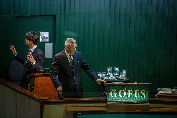 Goffs Orby 2015 -618