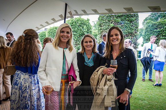 Goffs London Sale 2016-423