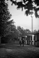 Goffs Orby 2015 -14 bw