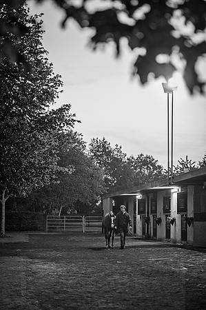 Goffs Orby 2015 -14 bw