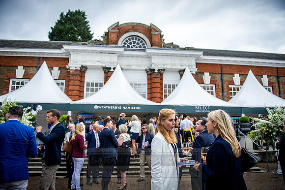 Goffs London Sale 2016-197