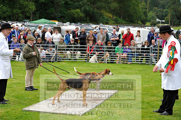 Rydal 2014 CF2 509