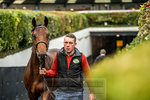 Goffs Orby 2018 Day 1-179