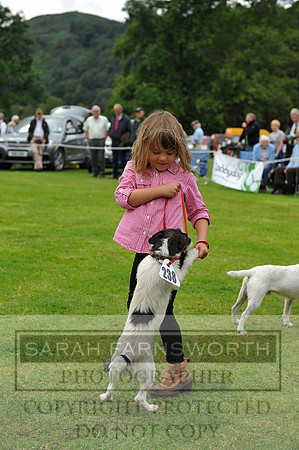 Rydal 2014 CF1 382
