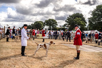 Honiton Hound Show 2022-18