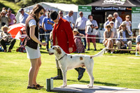 Rydal Hound Show 2022-12