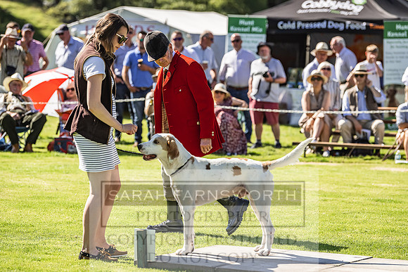 Rydal Hound Show 2022-12