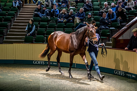 Goffs Orby 2018 Day 1-316