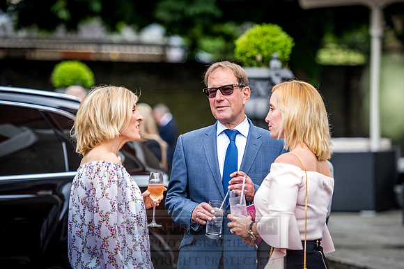 Goffs London Sale 2016-182