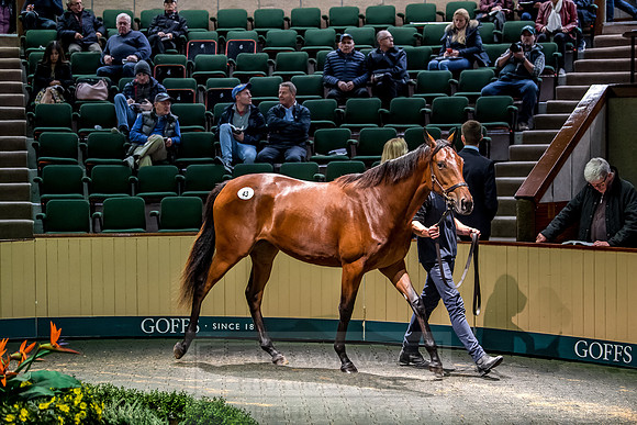 Goffs Orby 2018 Day 1-239