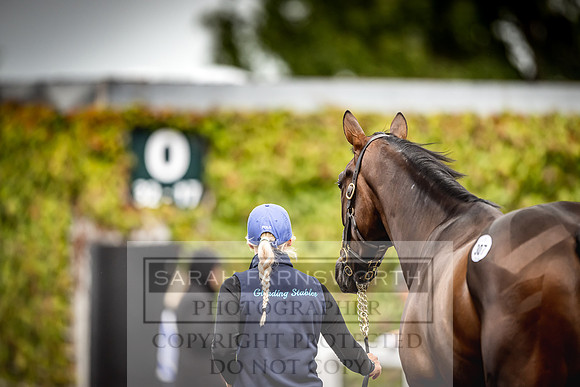 Goffs Land Rover Sale 2022-611