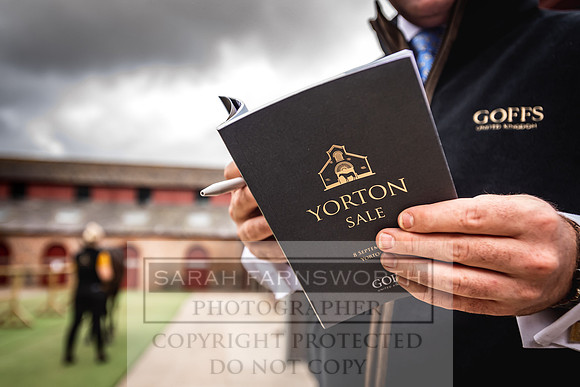 Goffs Yorton Sale 2022-74