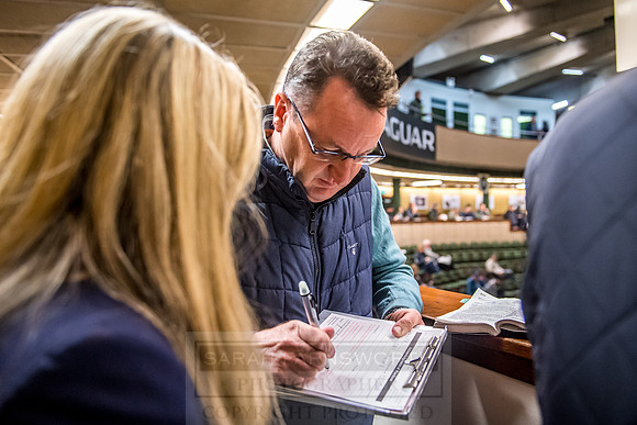 Goffs Orby 2018 Day 2-111