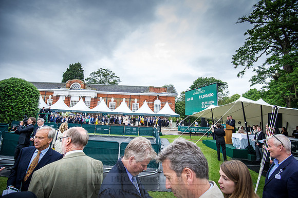 Goffs London Sale 2016-488