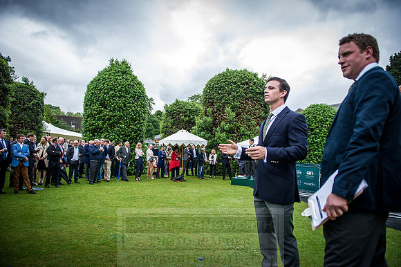 Goffs London Sale 2016-277