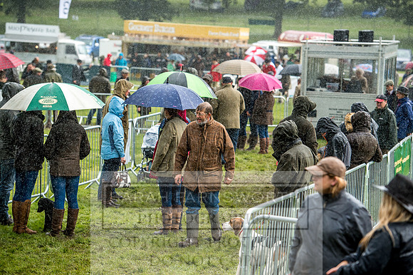 Lowther Hound Show 2017-3