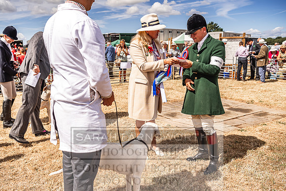 Honiton Hound Show 2022-119