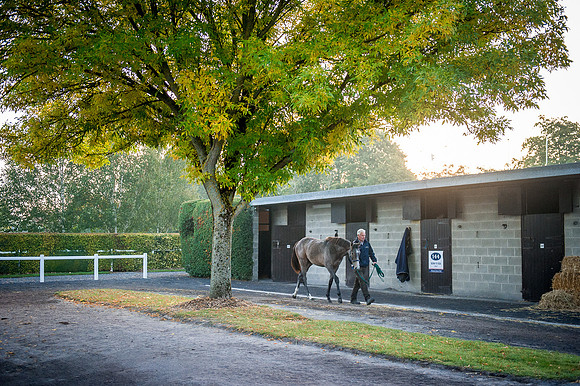 Goffs Orby 2015 -86