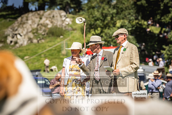 Rydal Hound Show 2022-91