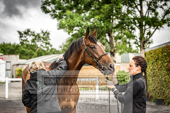 Goffs Land Rover Sale 2022-531