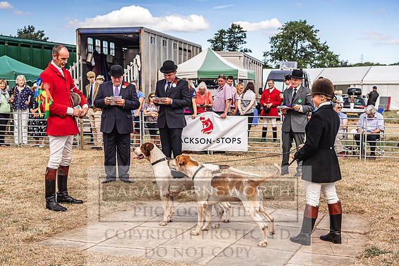 Honiton Hound Show 2022-65