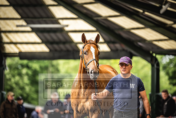 Goffs Land Rover Sale 2022-180