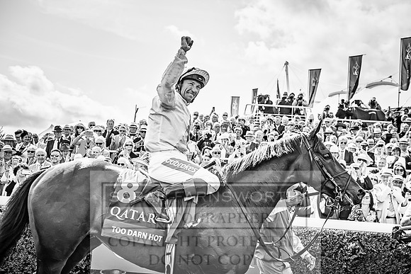 GUK Goodwood Sale 2019-175