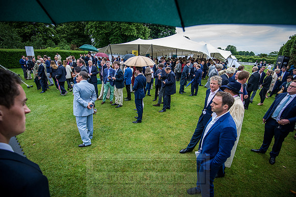 Goffs London Sale 2016-401