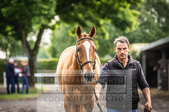 Goffs Land Rover Sale 2022-31