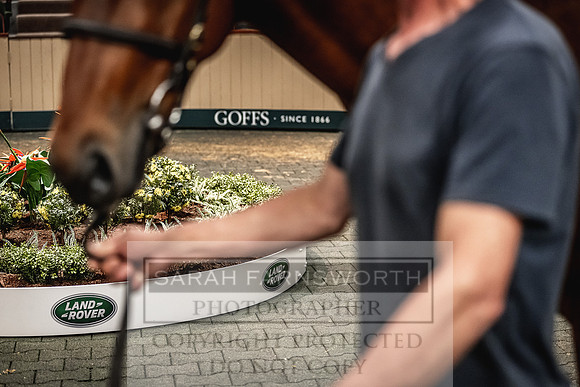 Goffs Land Rover Sale 2022-443