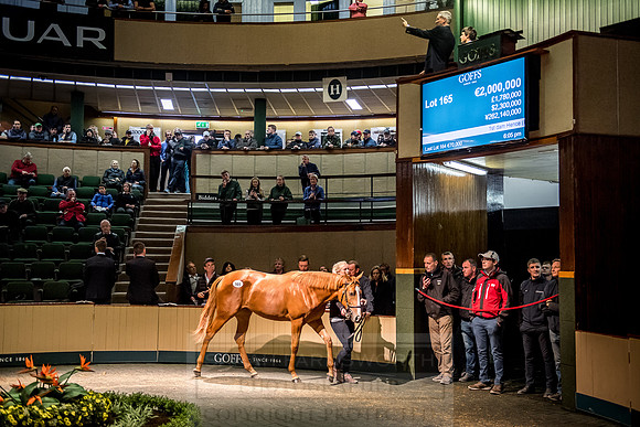 Goffs Orby 2018 Day 1-405