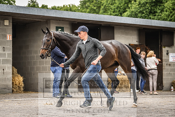 Goffs Land Rover Sale 2022-328