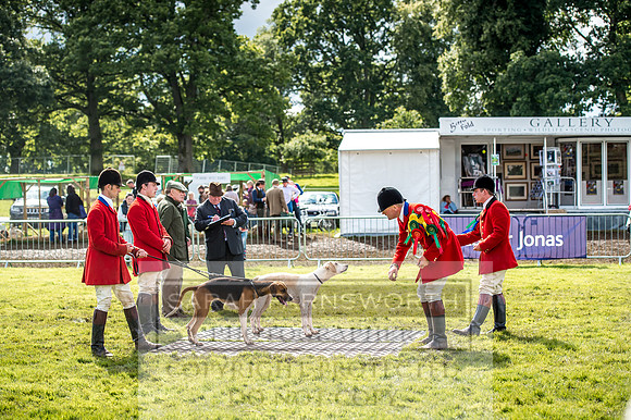 Lowther Hound Show 2017-111