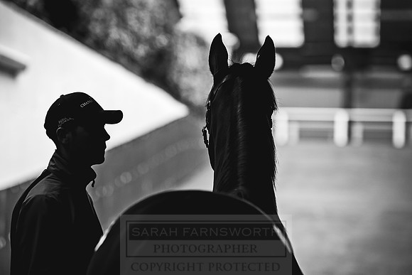 Goffs Orby 2018 Day 1-207