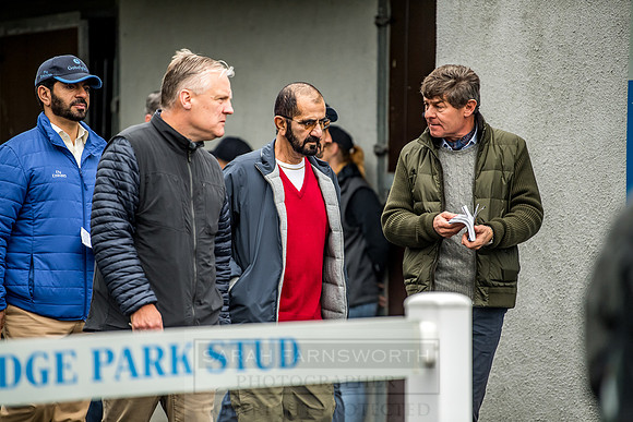Goffs Orby 2018 Day 1-233