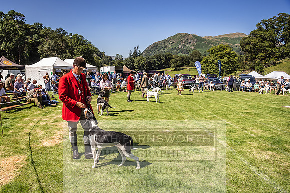 Rydal Hound Show 2022-104