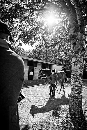 Goffs Orby 2015 -374 bw
