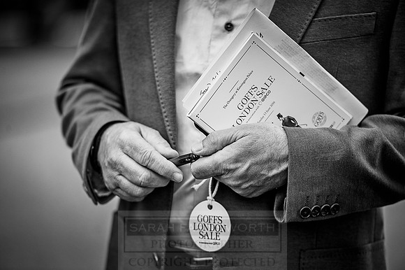 Goffs London Sale 2016-138