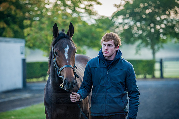 Goffs Orby 2015 -78