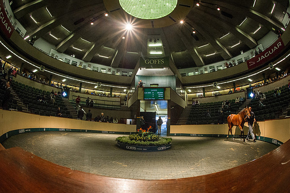 Goffs Orby 2015 -544