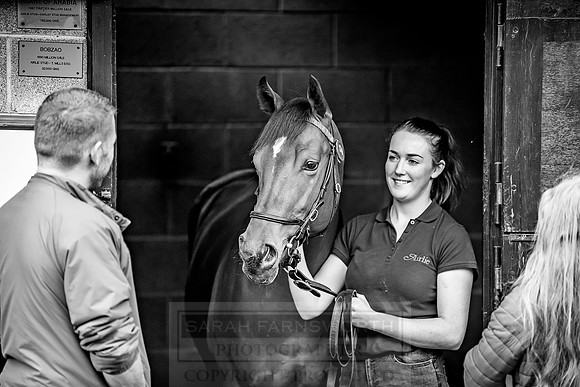 Goffs Orby 2018 Day 1-326