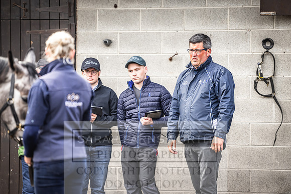 Goffs Land Rover Sale 2022-69