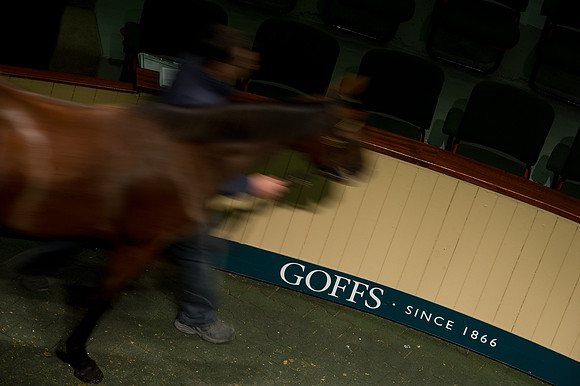Goffs Orby14 CF5 160